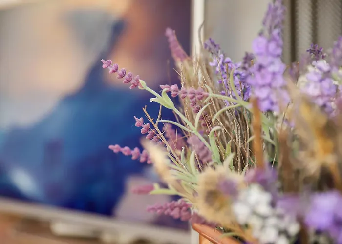 Chesa Prasuera 10 By Interhome Appartement