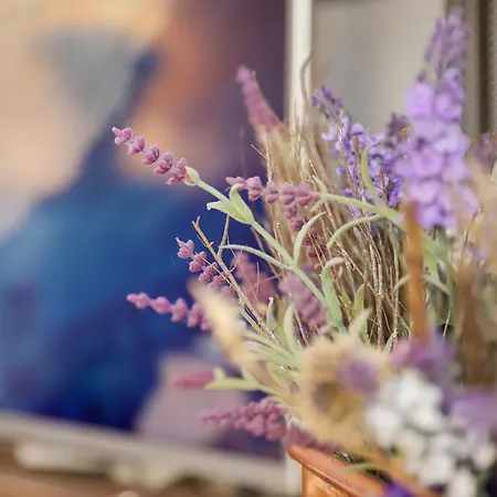 Chesa Prasuera 10 By Interhome 公寓